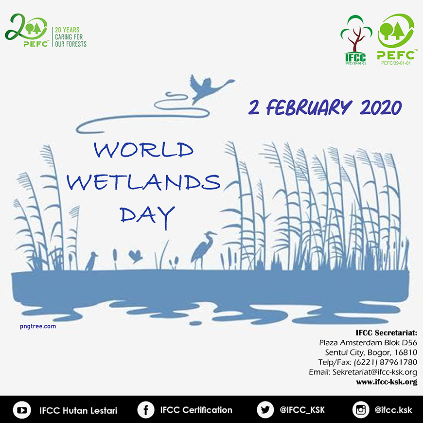 wetland 2020 (1)a.jpg